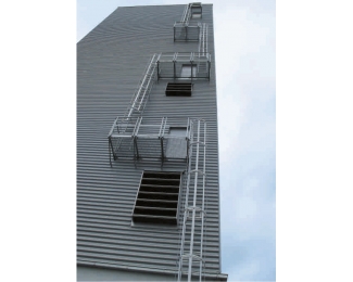 Escalera de gato 2,90m con aros Svelt Gabbia