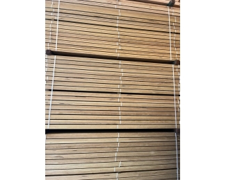 Rastrel pino Landas tratado con fungicida 50x70mm