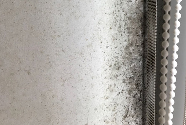 Solución de la humedad con un buen sistema de ventilación