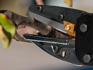 Tijera, cúters y cuchillas